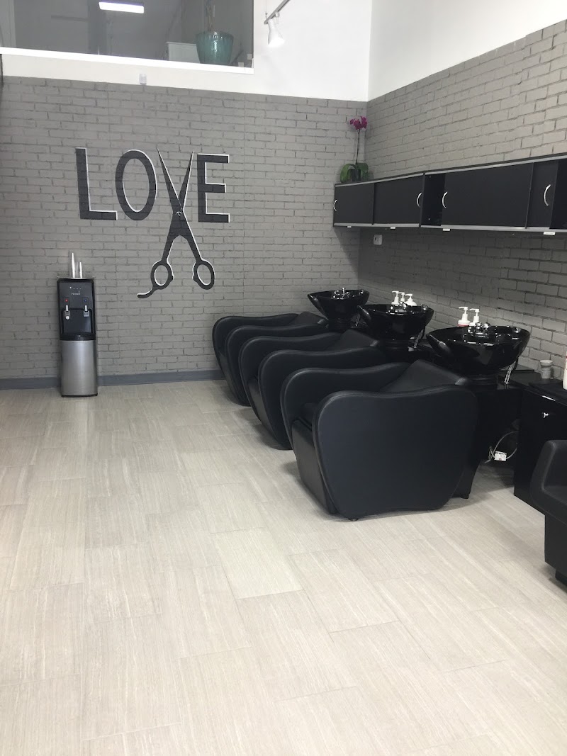 Salon De La V