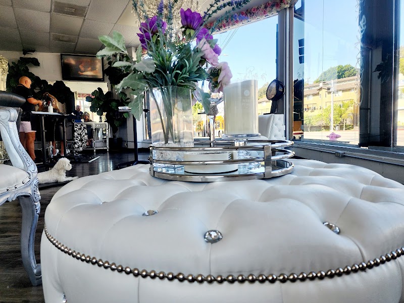 Prado Hair Studio