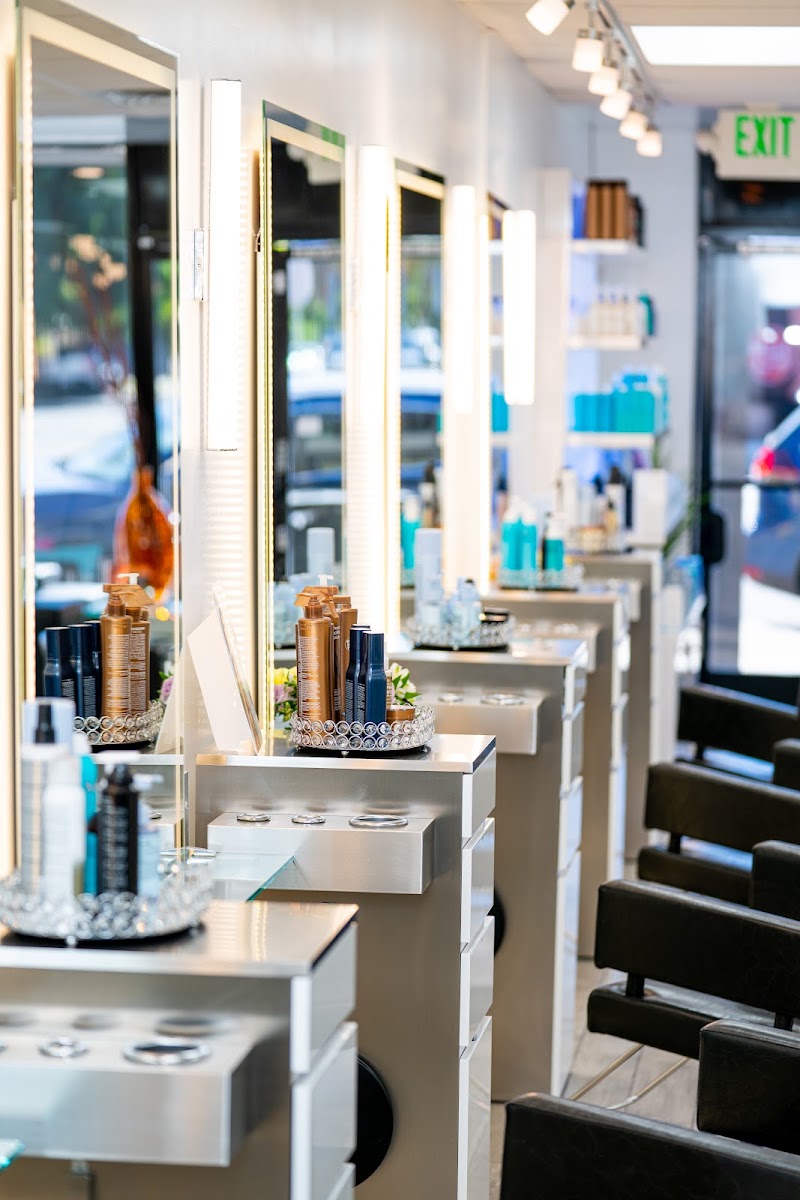 THE VIVID SALON