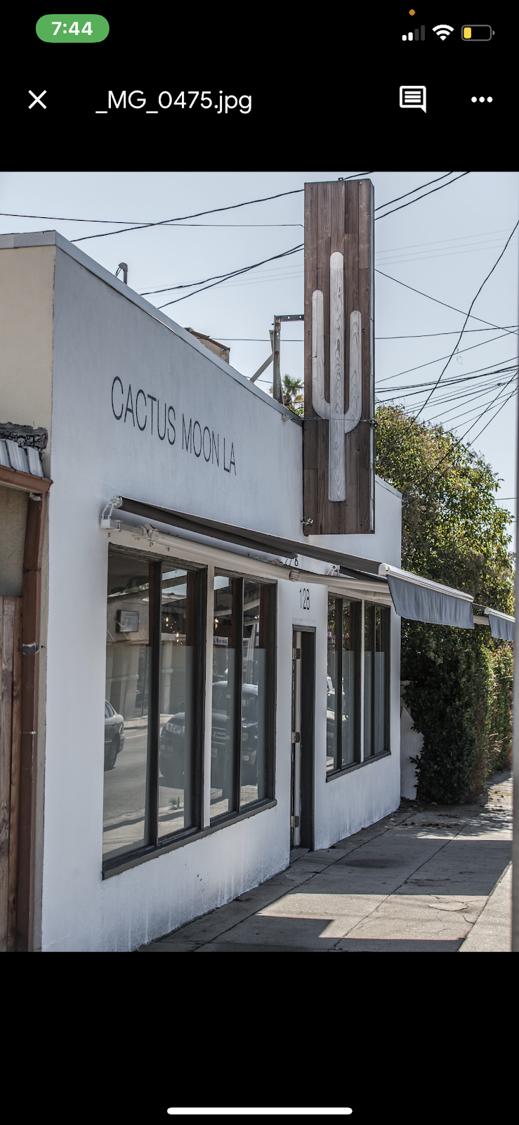 Cactus Moon LA