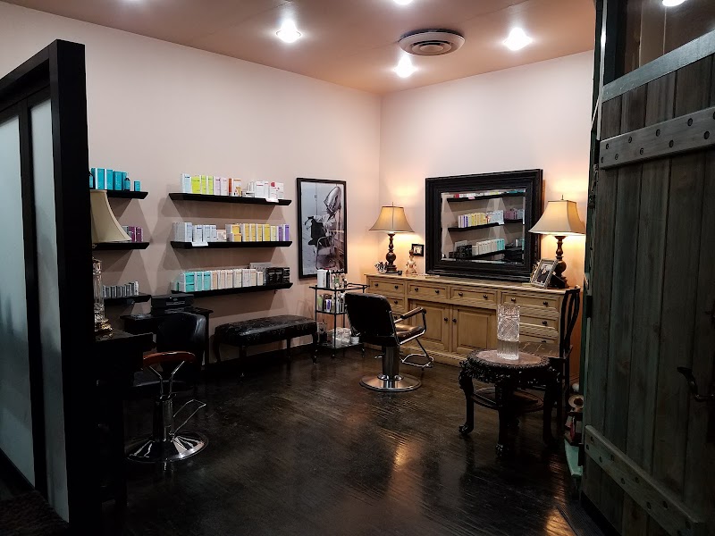SARAZIN salon