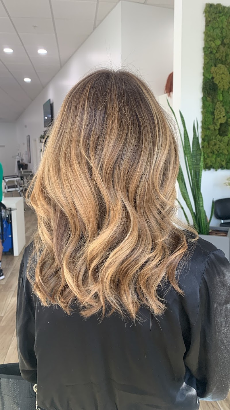hairshop.mia