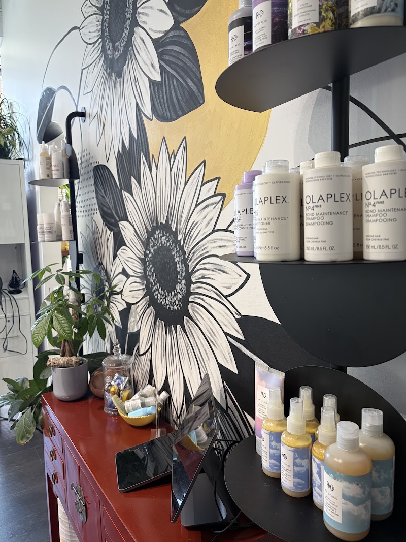 Sunflower salon LA westwood