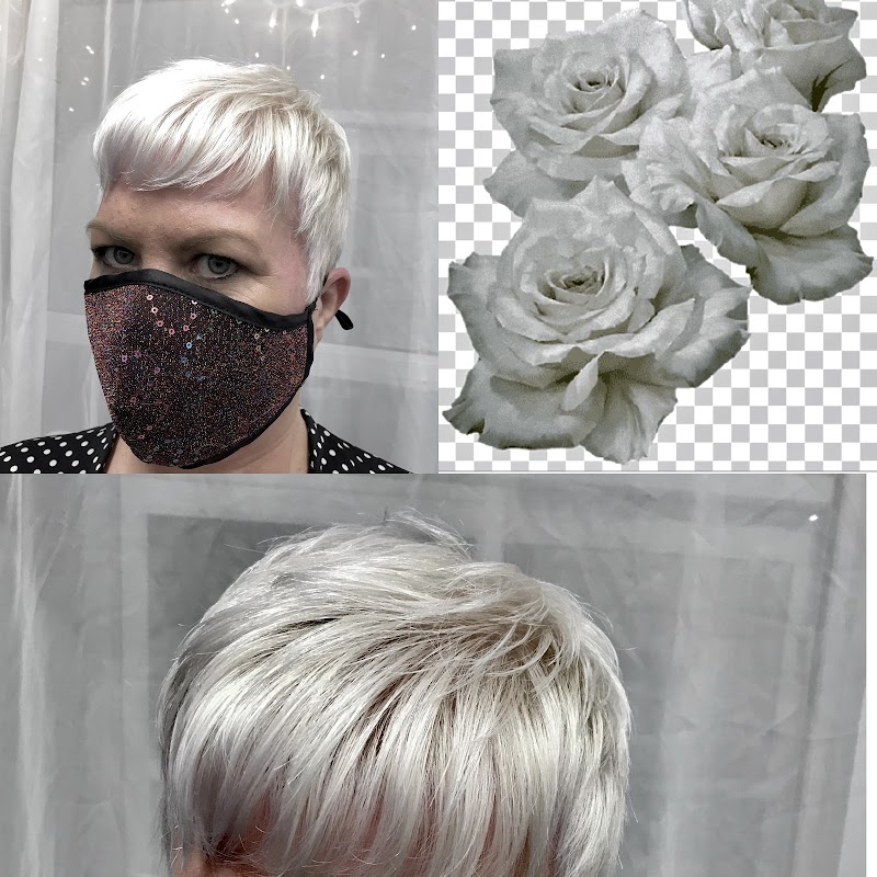 Echolistic Hair Studio