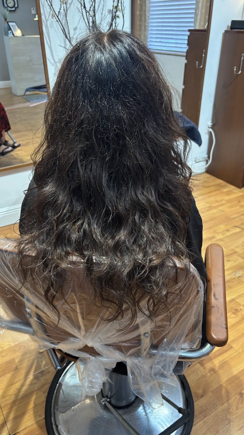 WISP HAIR STUDIO
