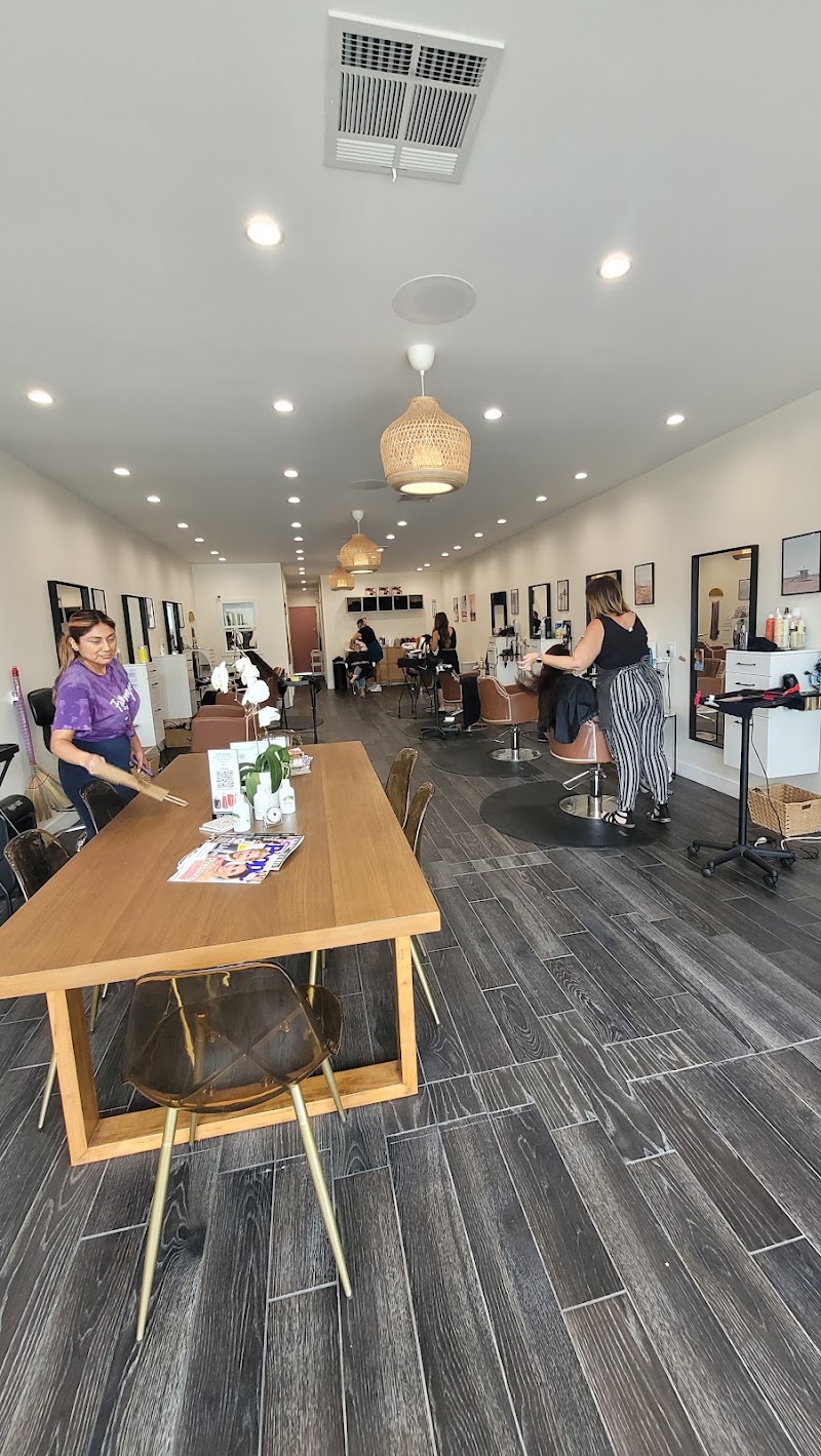 Mane Idol Salon