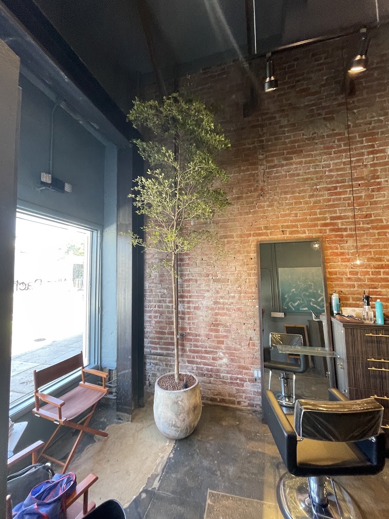 Allen Pacheco Salon