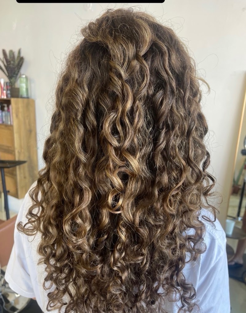 Venice Beauty Bar