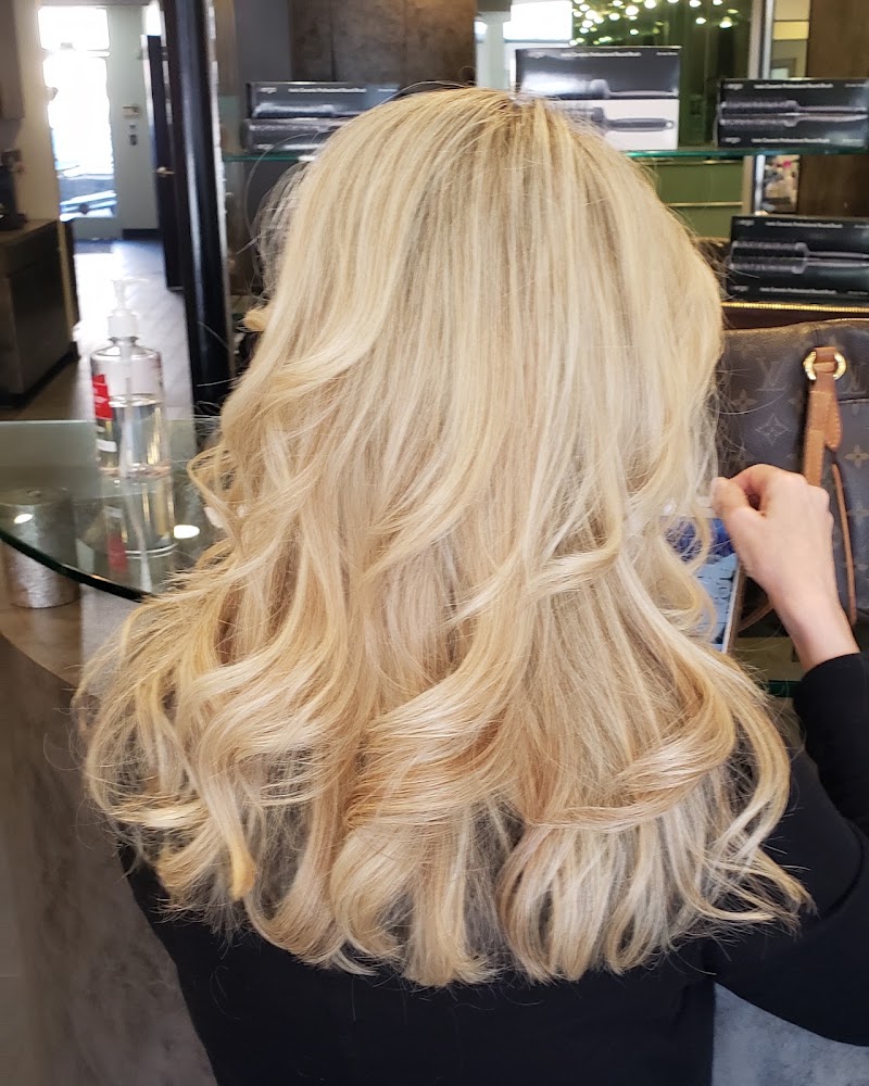 Howard Kurtz Salon