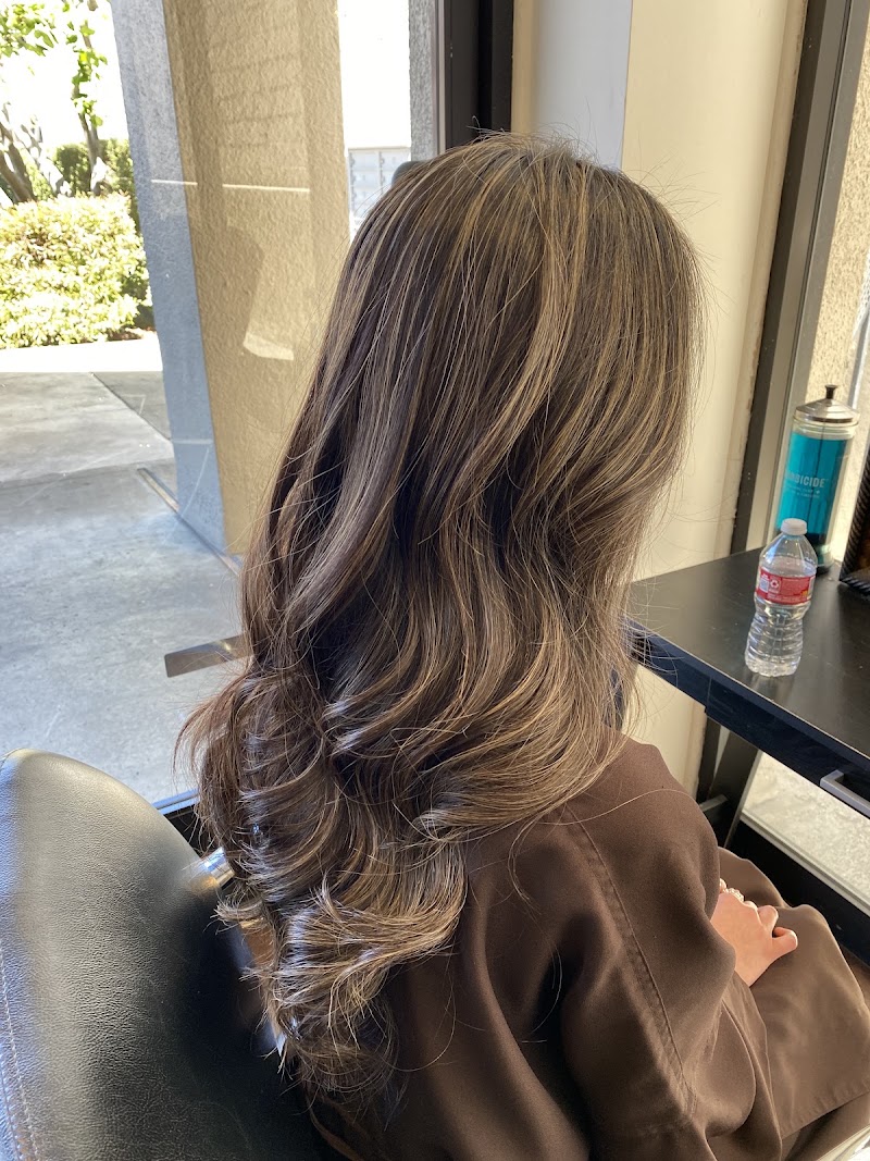 Amity Hair ✂