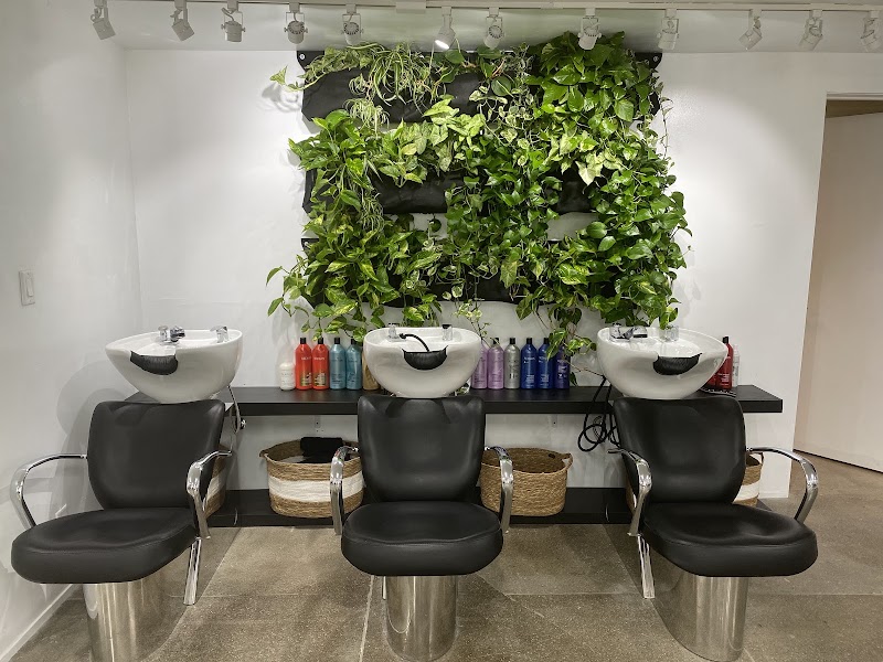Cutler West Hollywood ✂